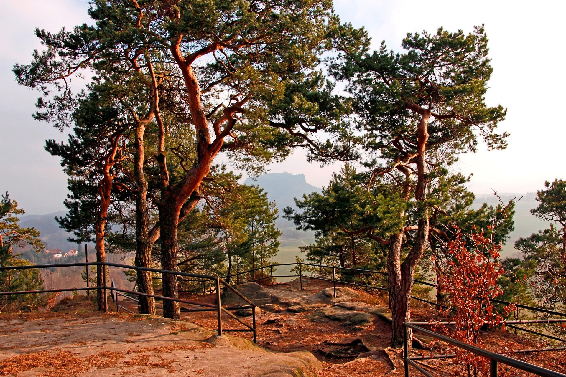 Aussichtspunkt im Wald mit Felsen, Bäumen und Blick in die Ferne
