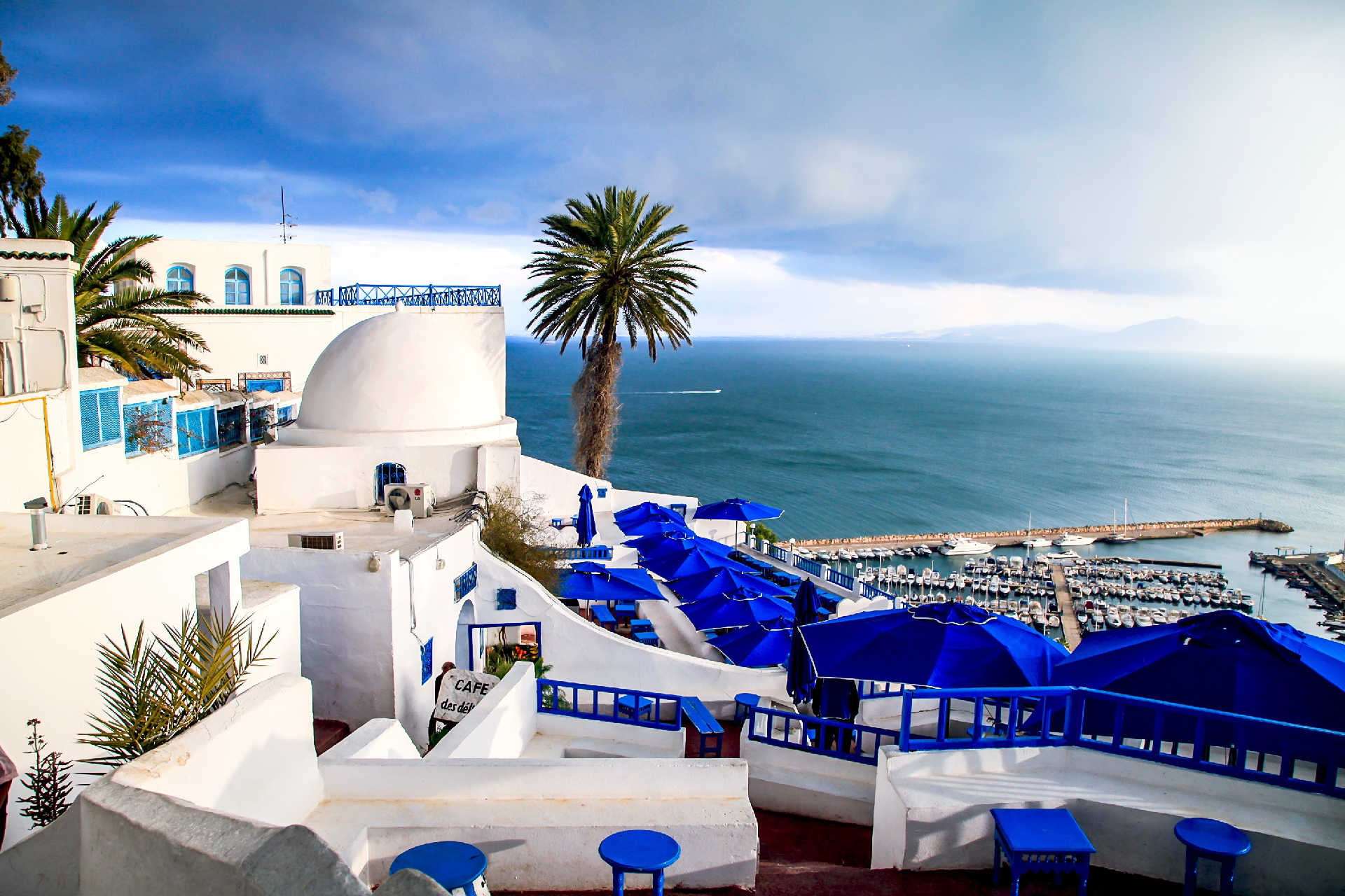 Weiß-blaue Häuser mit Meerblick und Caféterrasse in Sidi Bou Said