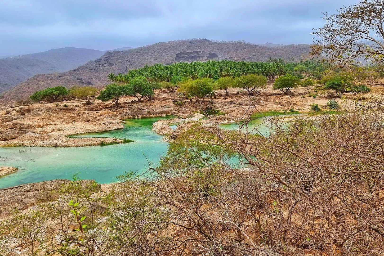 Grünes Tal mit Wasserläufen, Bäumen und Felsen in Dhofar, Oman