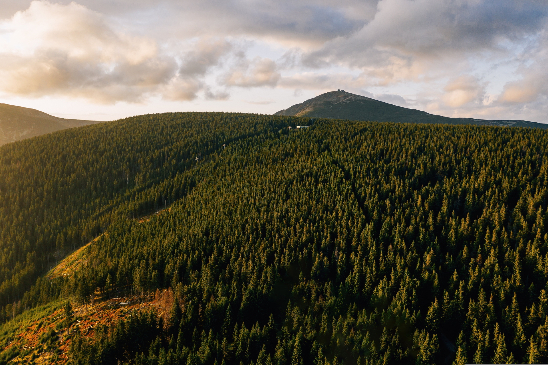 Bewaldetes Gebirge mit höchstem Gipfel des Riesengebirges an der polnisch-tschechischen Grenze