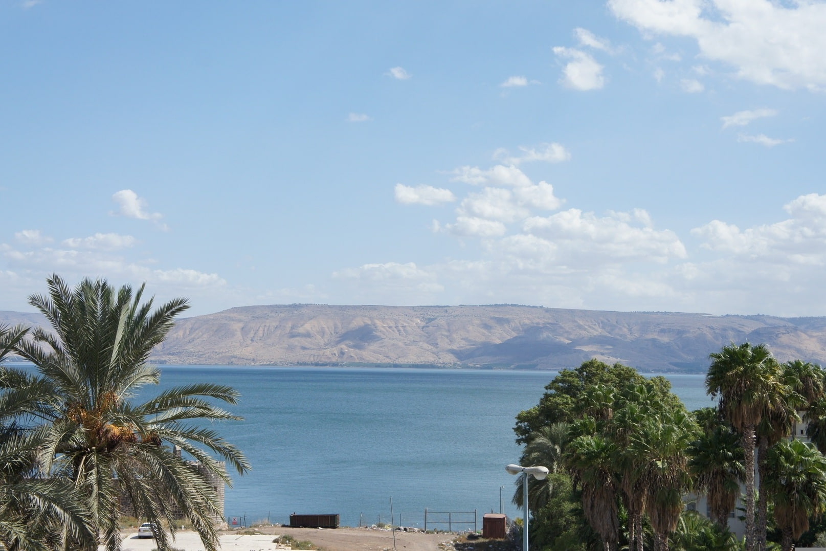 Blick auf blauen See mit Palmen im Vordergrund und Bergen dahinter