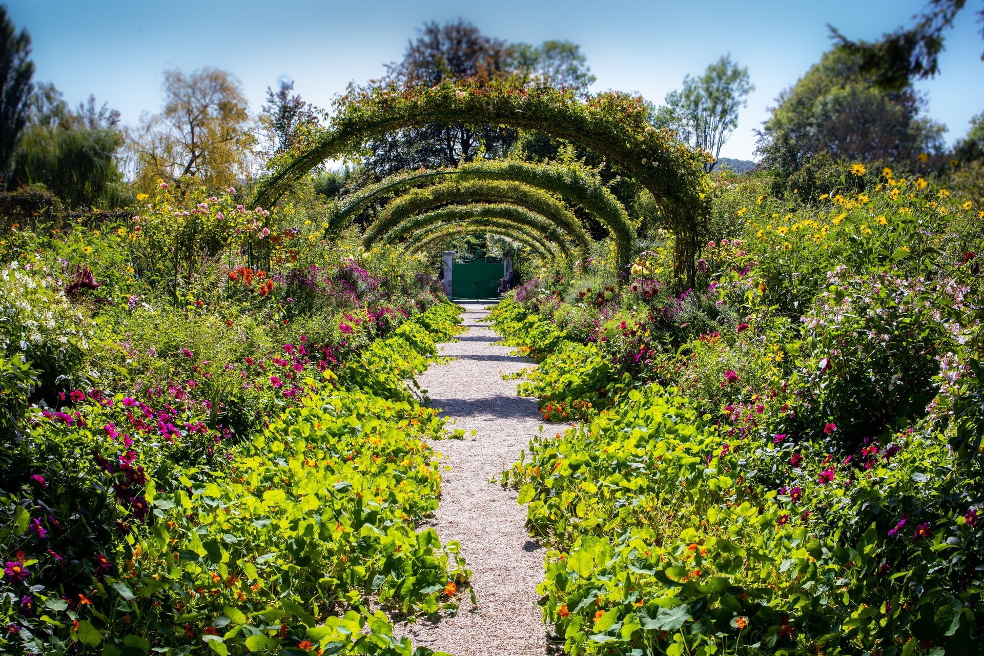 Blumenweg mit grünen Rankbögen im Garten von Claude Monet