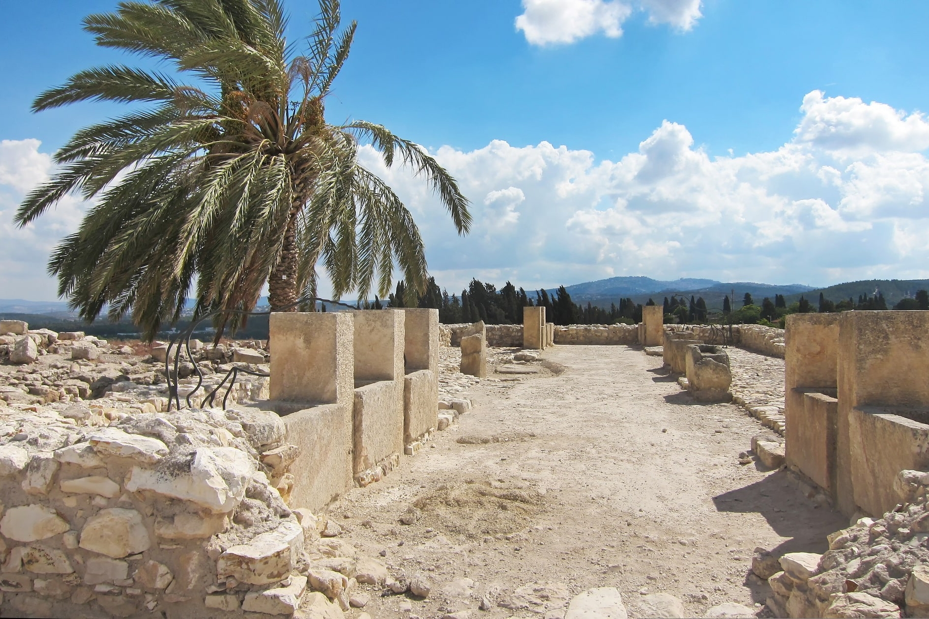 Archäologische Ruinen mit Palmen unter blauem Himmel und Wolken