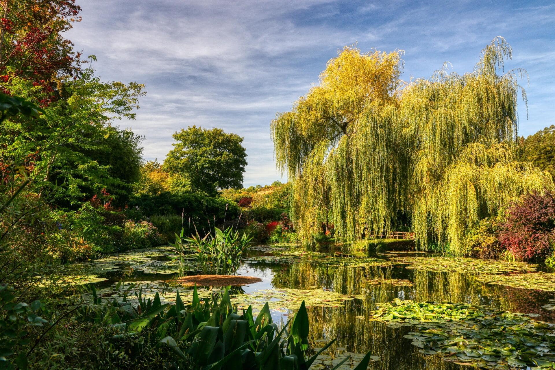 Idyllischer Teich mit Seerosen und Trauerweiden im Garten Monets