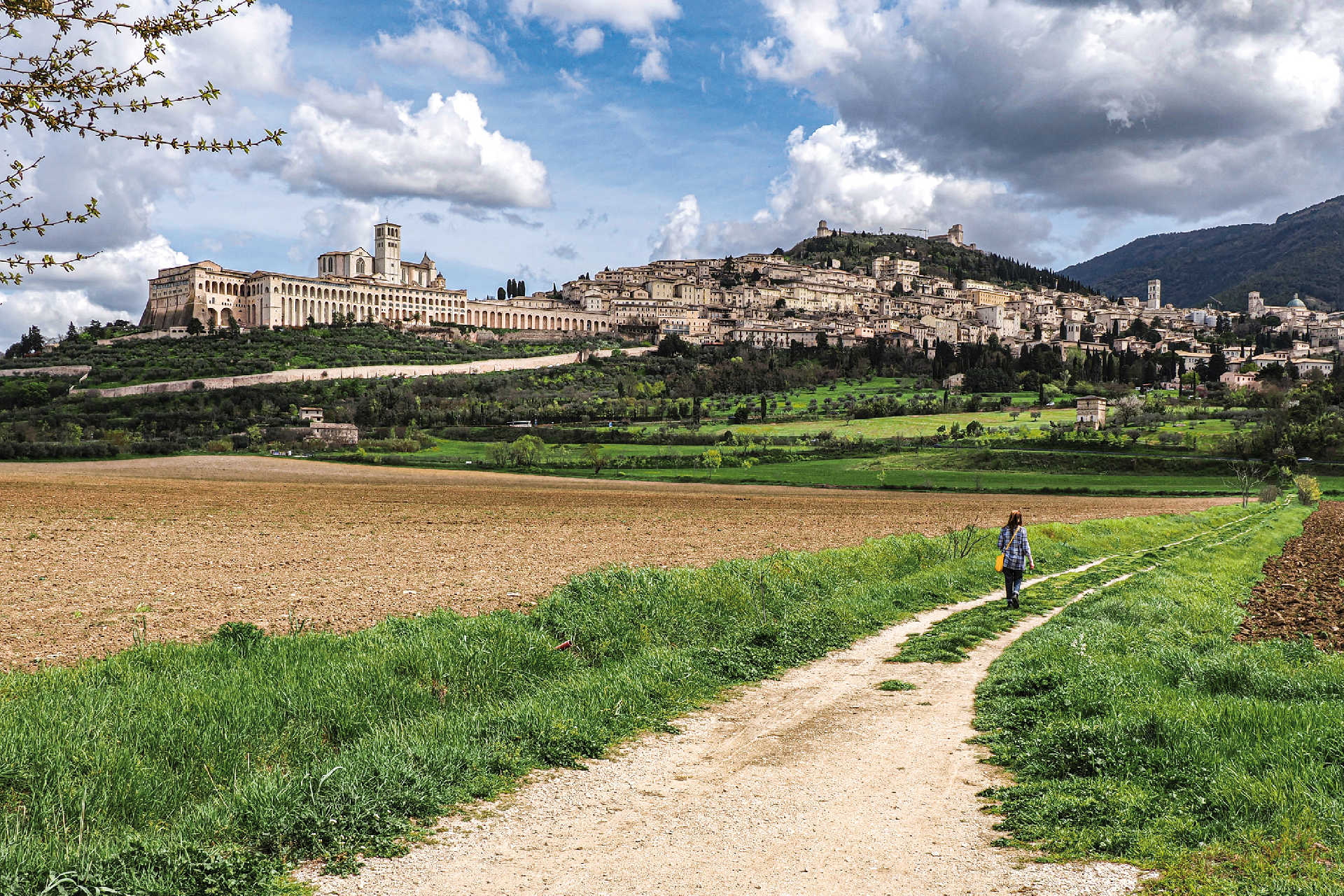 Blick auf Assisi mit Basilika San Francesco und Pilger auf Weg durch grüne Felder