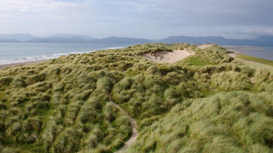 Bewachsene Sanddünen am Küstenstreifen mit Blick auf das Meer