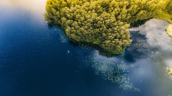 Dichte grüne Bäume ragen als Halbinsel ins klare Wasser hinein