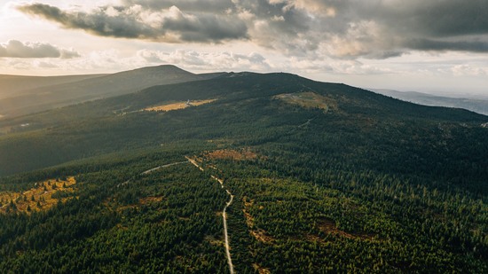 Luftaufnahme von bewaldeten Hügeln unter dramatischem Himmel