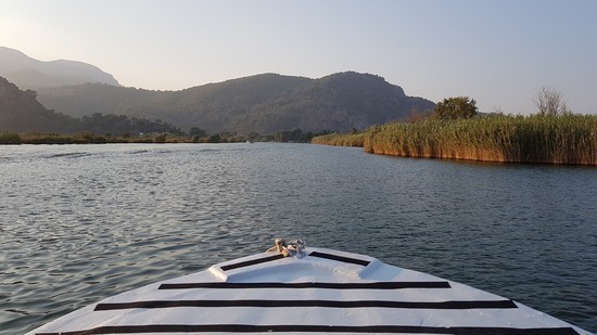 Blick vom Boot auf Flusslauf mit Schilf und bewaldeten Hügeln